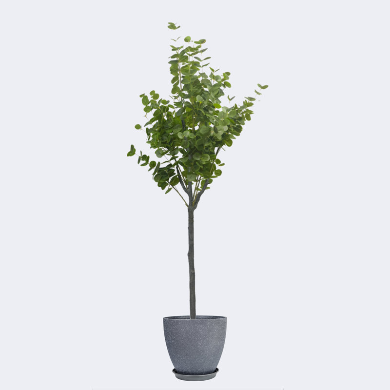 Pots ronds en résine artificielle avec plateau d'eucalyptus artificiel et résine, Gris foncé