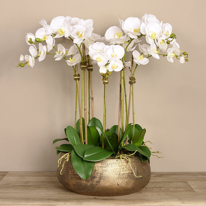 Orchid Floral Arrangement in Planter, 29" x 22", White, Gold