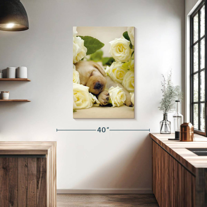 Brampt Oscar I, 39" H x 26" W