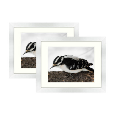 Akane 11 x 14 Gallery Wall Frame with Real Glass