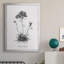 Simply Caladrinia - Cadre photo, impression sur toile-1444810896-1444810897