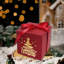 Boîte de Noël de Noël