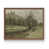 Noyer