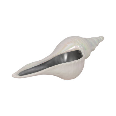 Elegant Seashell Sculpture – Coastal Ceramic Statues and Decorative Objects for Kitchen Decor – Stylish Shell Accent for Home Decor and Decorations for Living Room, Bathroom, or Entryway –  Ivory