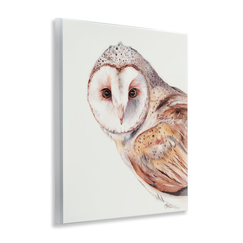 Plaque murale Peeking Barn Owl Gaze, design par Cady