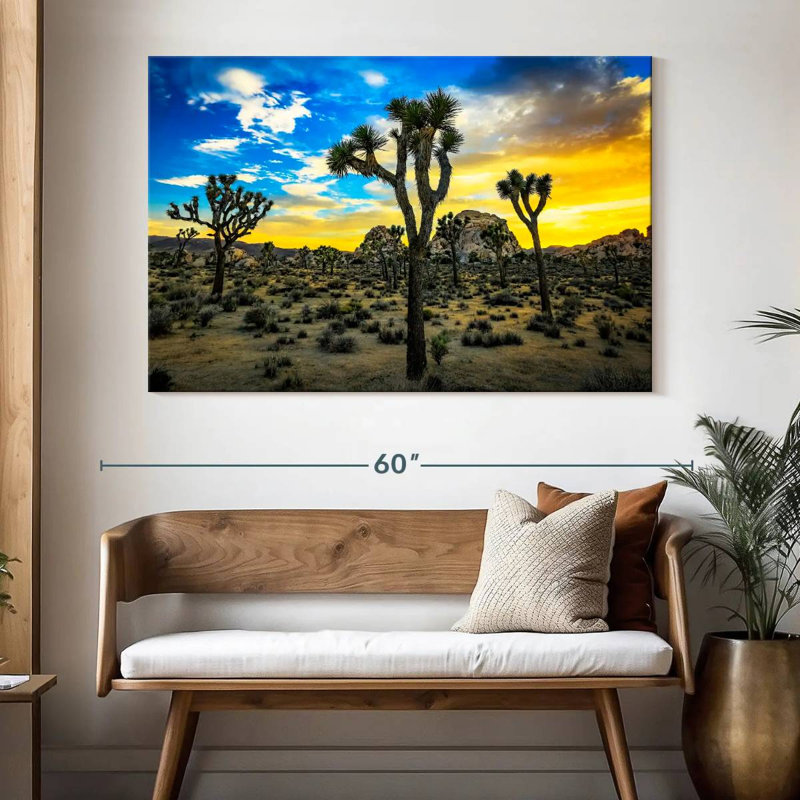 Nicci Joshua Tree Park, H 34 po x l 51 po