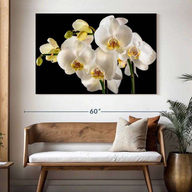 Fleurs d'orchidée blanches fraîches Harnek, H 34 po x l 51 po