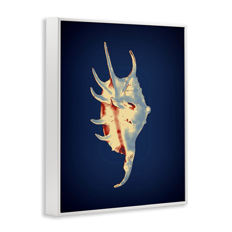 Spider Conch on Blue White Framed Giclee Art by Graffi*tee Studios, H 20 po x l 16 po