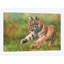 « tiger cub running », impression sur toile-33109944-72416490-72416484