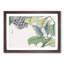 Moth & Hydrangea by Morimoto Toko - Picture Frame Painting Print-55582209-55582210