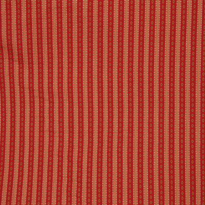 Allure Striped Fabric