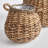 Pot Planter