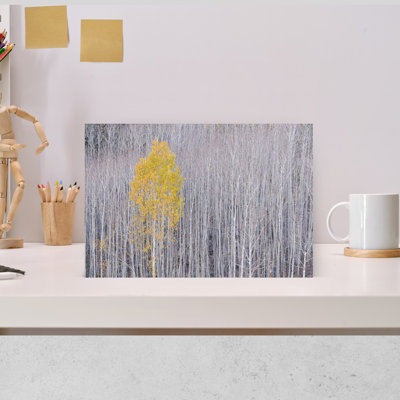 Single Aspen Tree Retains Its Autumn Color Amongst Bare Trees On Boulder Mountain, Utah, Usa Abstract Contemporary Forest Landscape Wall Art