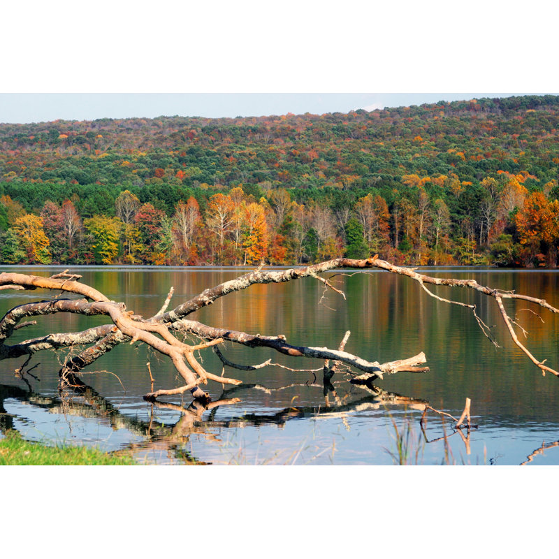 «Public Lake» par Petemuller, H 20 po x l 30 po
