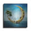«Home Sweet Moon» par Diogo Verissimo