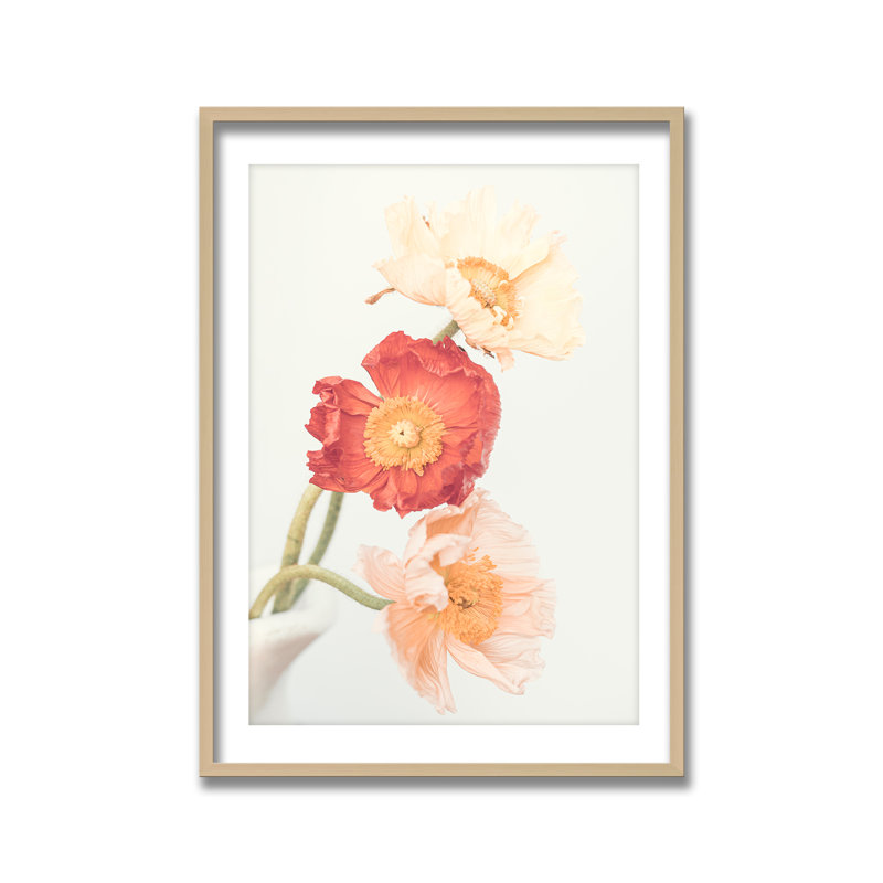 «Poppies», reproduction d'art encadrée par Kathrin Pienaar, L 32 po x H 48 po