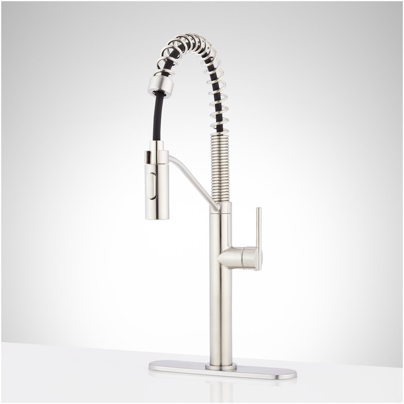 Eiler Kitchen Faucet with Pull Down Spring Spout with Deck Plate - Stainless Steel, Stainless Steel