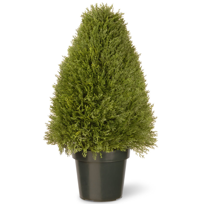 Genévrier droit artificiel The Holiday Aisle®, H 30 po x l 14 po x P 14 po