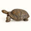 Statue de jardin de tortue marchant
