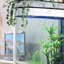 Aquarium 95-104 gallons-129676008-129676010