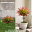 Agave artificielle-310408673-305410914