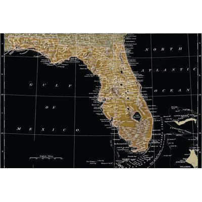 Florida Map Black - Wrapped Canvas Print