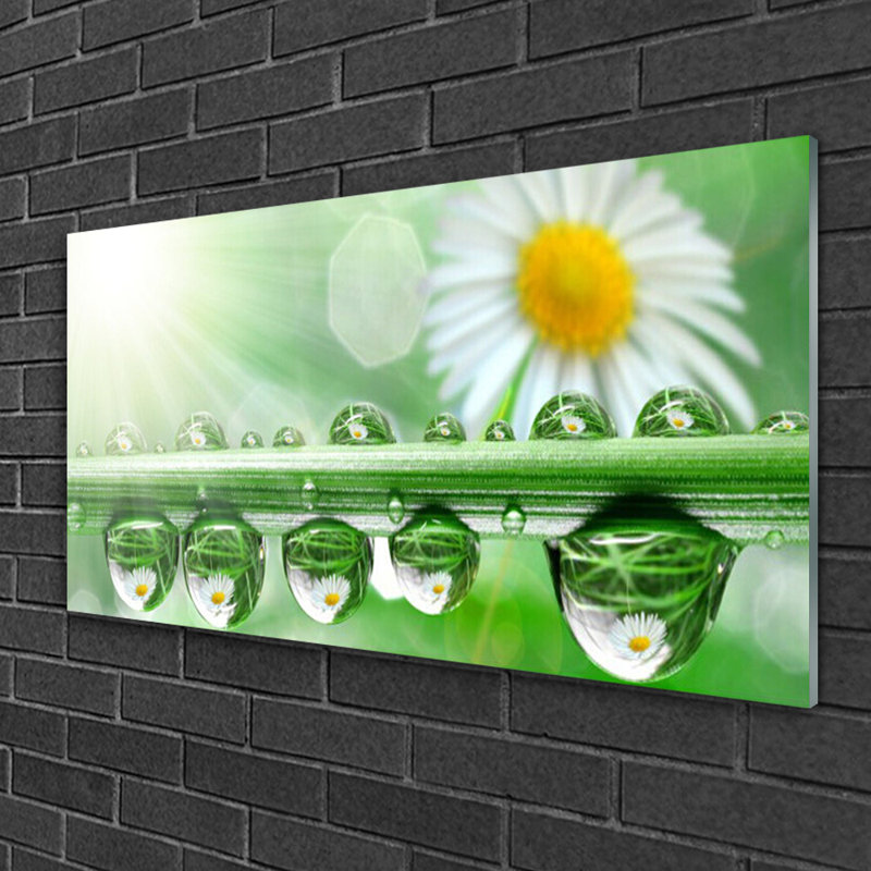 Nature Dew Leaf Daisies - No Frame Print on Glass