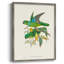 Lime & CeruleanParrots II, reproduction encadrée - bois massif-1044045564