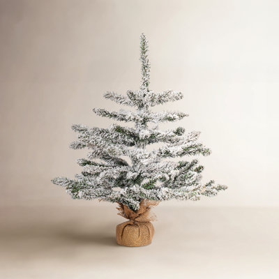 Flocked Anoka Pine 2' Artificial Christmas Tree