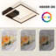 Dayyan LED Flush Mount