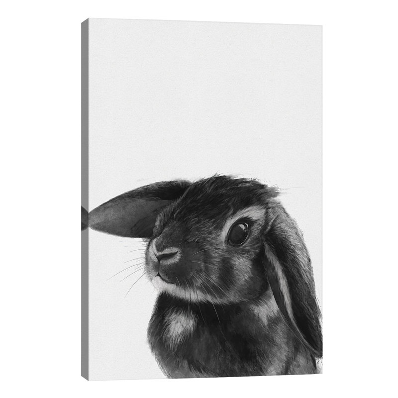 Bunny 1 Piece Wrapped Canvas Wall Art, 30.48cm H x 20.32cm W x 1.91cm D