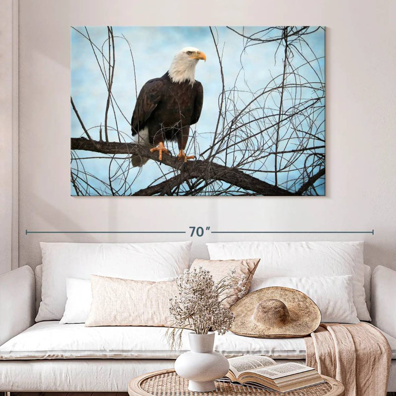 Portrait d'un aigle à tête blanche Brampt, H 34 po x l 51 po