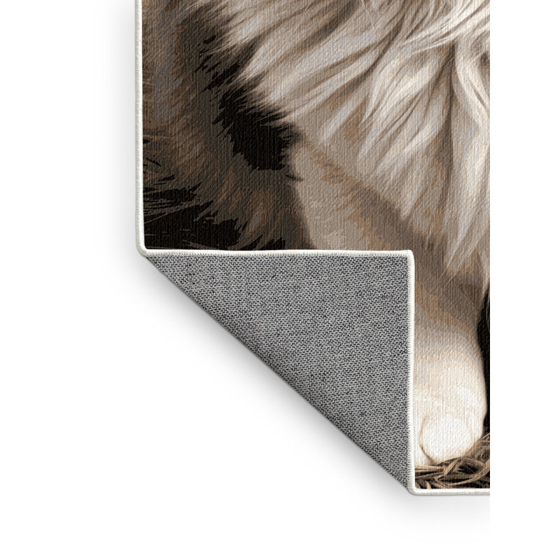  Tapis domestique lavable à poils longs, Carré 4 pi