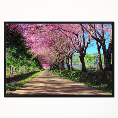 Cherry Blossom Pathway In Chiang Mai - Unframed Print on Wood