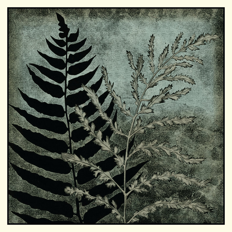 Illuminated Ferns III by Megan Meagher - Wrapped Canvas Painting, 30cm H x 30cm W x 3.8cm D