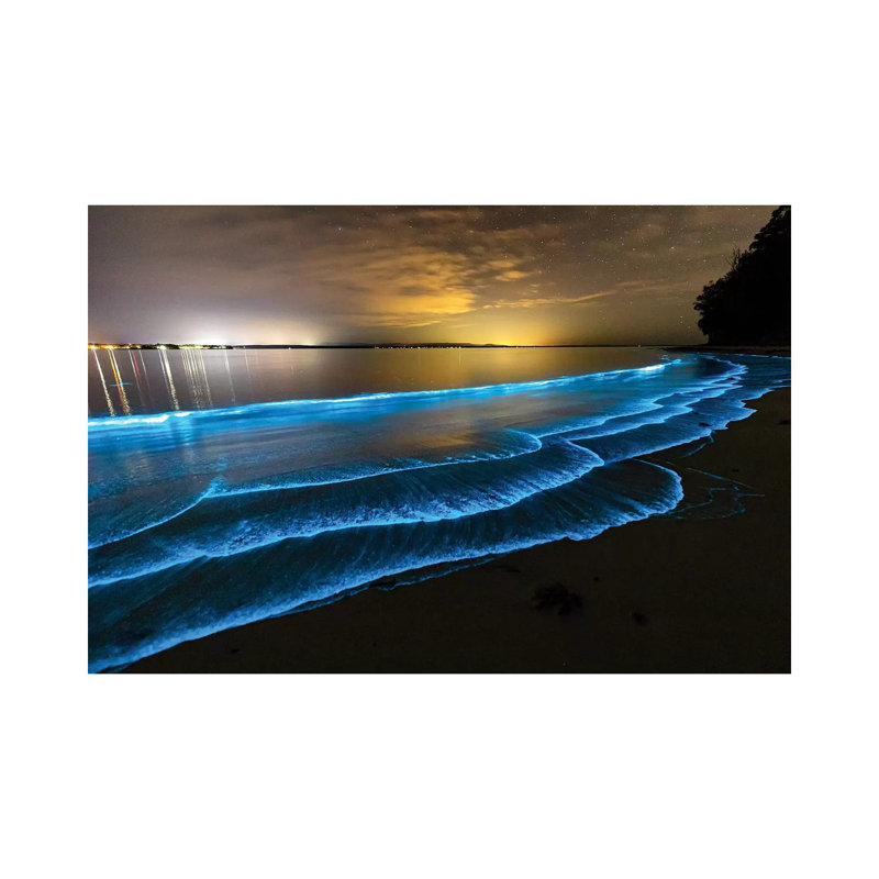 Bioluminescence Jervis Bay par Jordan Robins - reproduction de photo sur toile tendue, H 26 po x l 40 po x 1,5 po