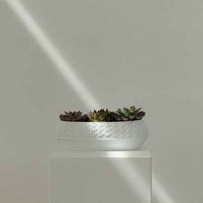 Knit Porcelain Oval Bowl / Tray