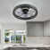 19'' Dimmable Caged Ceiling Fan with LED Lights