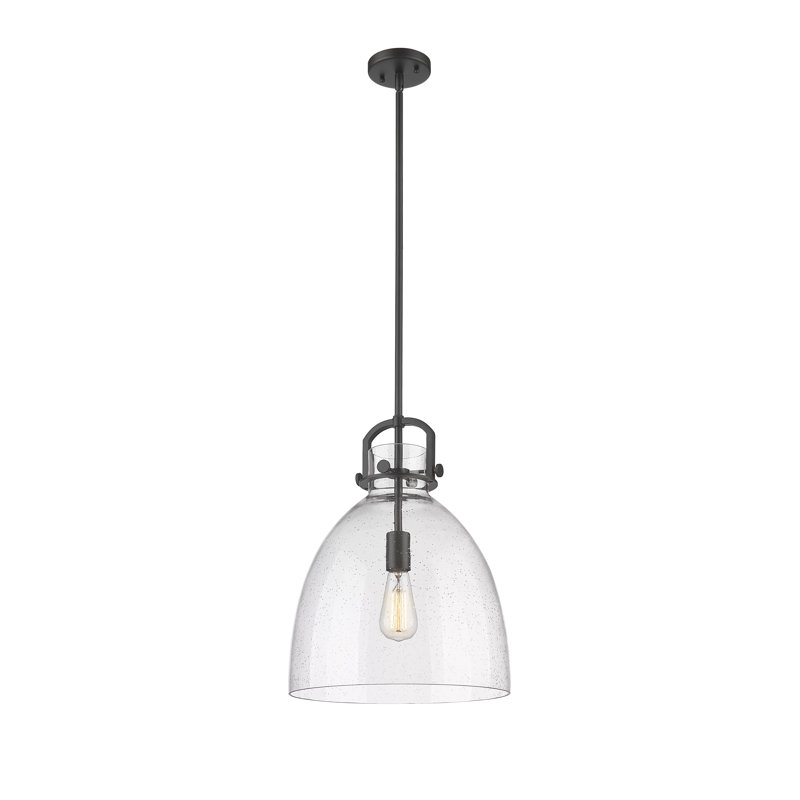 Badillo 1 Light Stem Hung, Seedy, Matte Black, 18.25" H x 14" W x 14" D