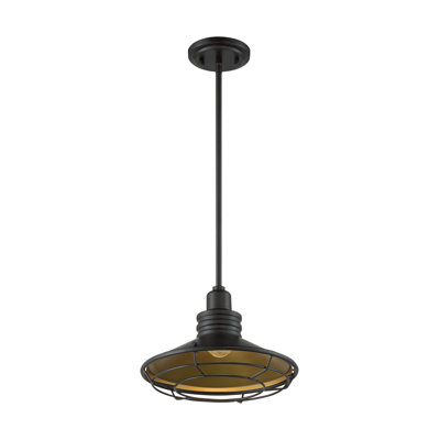 Parkdale 1 - Light Unique/Statement Pendant