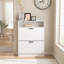 Armoire de rangement pour chaussures avec 2 tiroirs rabattables