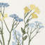 Lenox Wildflowers Border Placemats