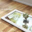 Miroir plat-2101699753-2101699755