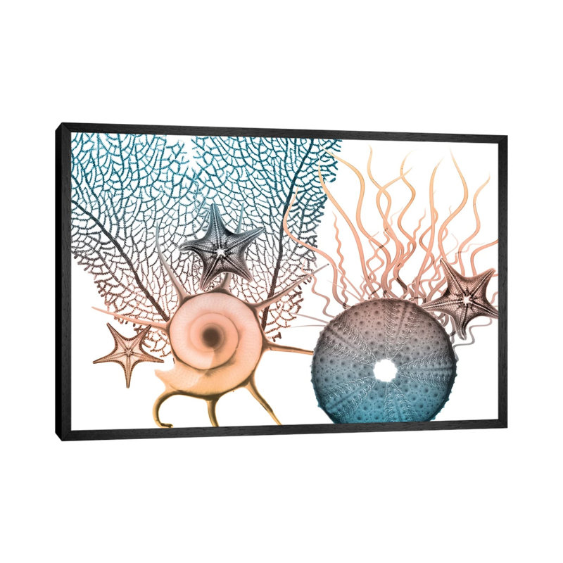 Sea Collective IV by Albert Koetsier - Print on Canvas, 45.72cm H x 66.04cm W x 3.81cm D, Black Framed