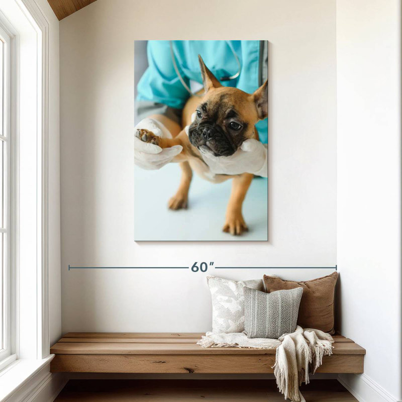 Brampt Pet Care, 45" H x 30" W