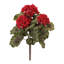 Geranium buisson floral (ensemble de 2)