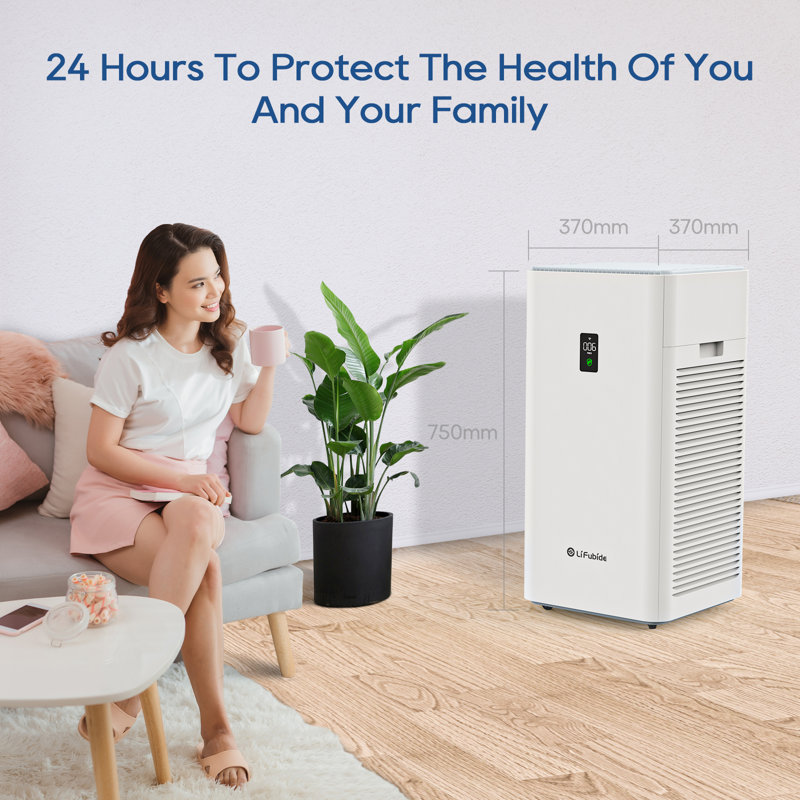 Purificateur d'air pour 4200