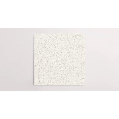 Blake Medium Chip 24" x 24" Matte