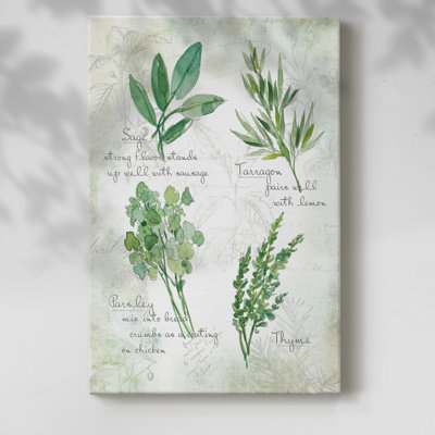 Fresh Herbs II -Gallery Wrapped Cavas