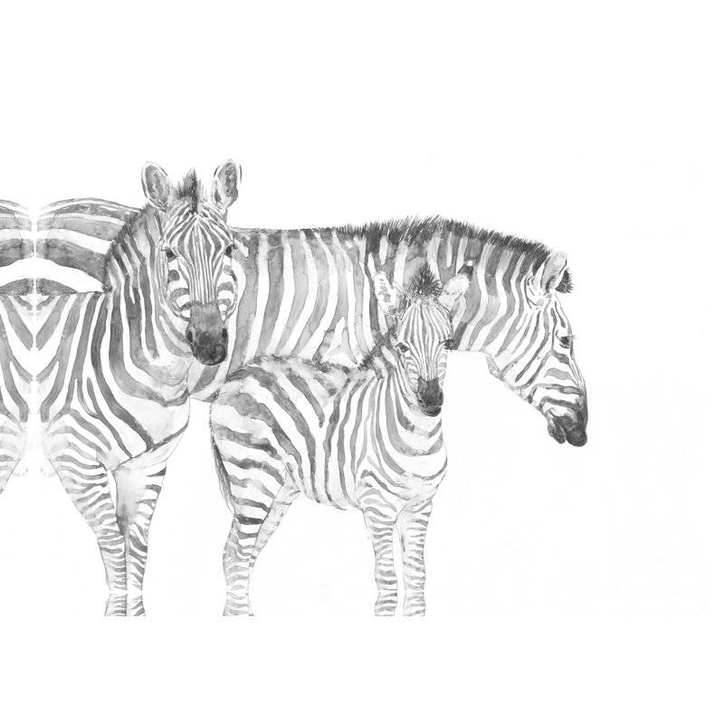 Greyscale Zebra Fam - Painting Print, 61cm H x 91cm W, Wrapped Canvas